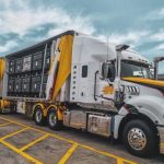 IMG_5098-qbdood3vn06j1emg0fyjpu8pilhw1isde5pca043x4